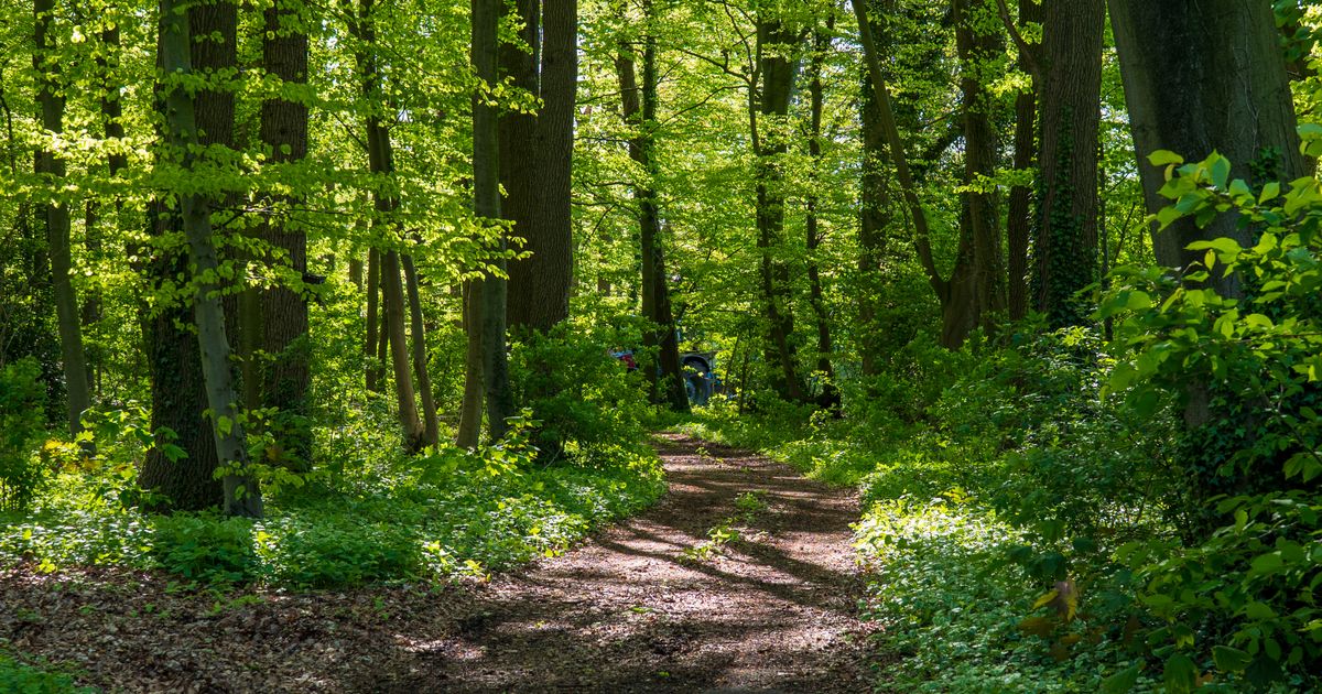Dlaczego człowiek wraca do uzależnienia?